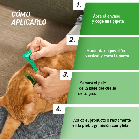 COMBOLINE GATOS 18 PIP/ Precio 1 pipeta