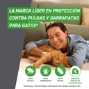 COMBOLINE GATOS 18 PIP/ Precio 1 pipeta