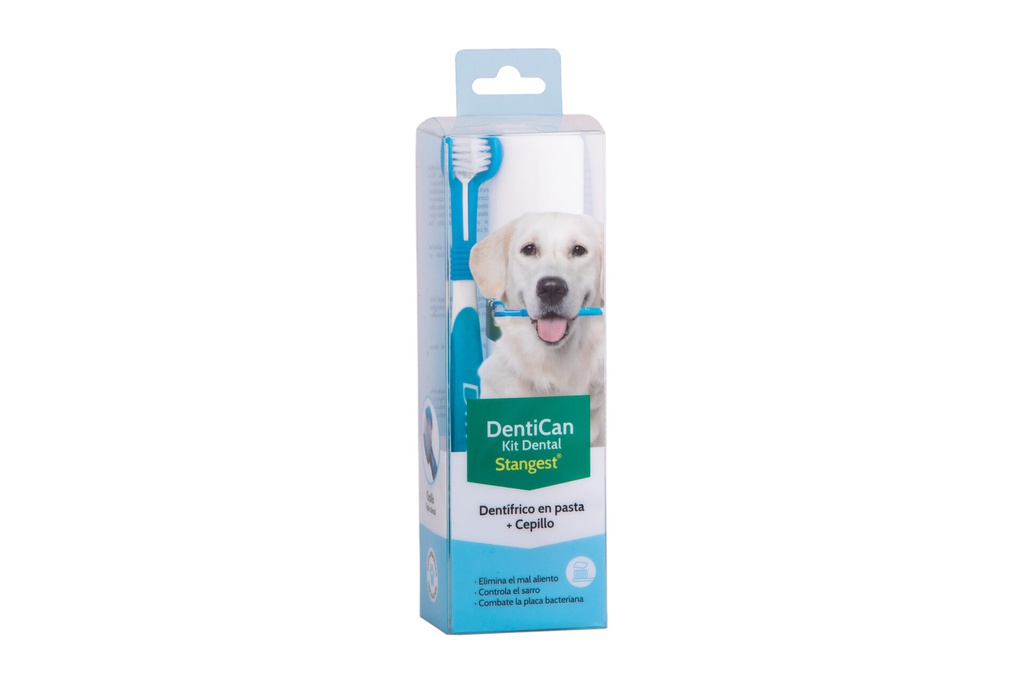KIT DENTAL CEPILLO + PASTA (Stangest)
