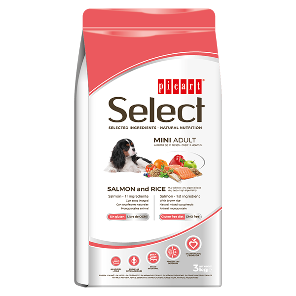 SELECT MINI ADULT SALMON&amp;RICE 3KG