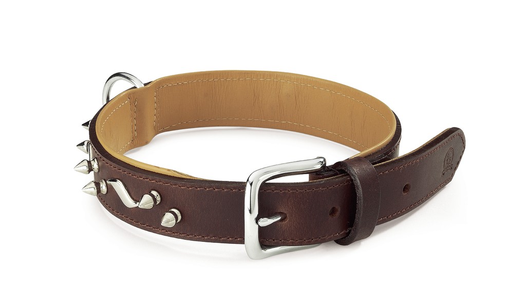 CAMON COLLAR COLOR CON TACHAS 25X550 DA016/B