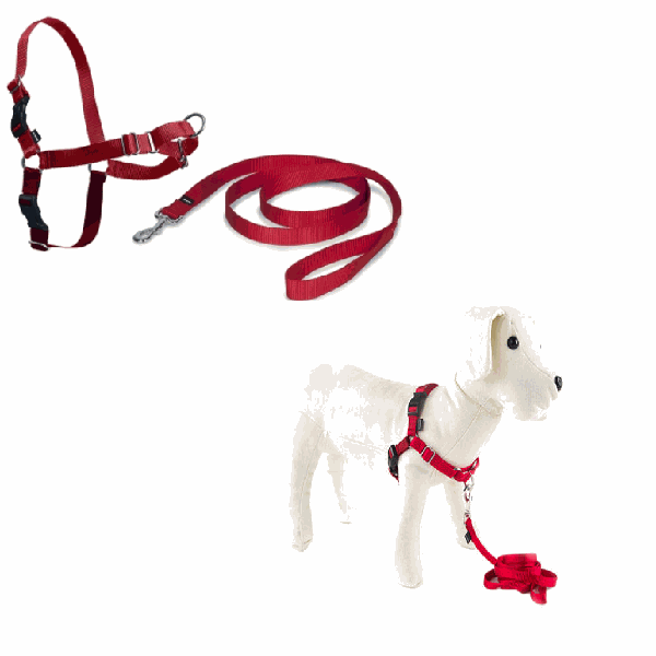 ARNES PETSAFE EASY-WALK XS ROJO.TI