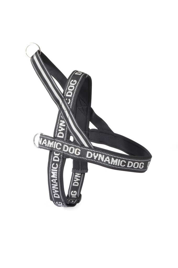 CAMON ARNES DYNAMIC 60 CM DC200/C