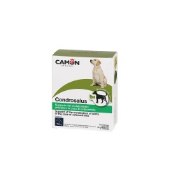 [8019808141039] CAMON CONDROSALUS 60 CPS G879