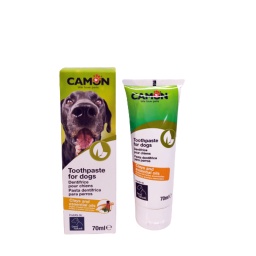 [8019808113159] CAMON PASTA DENTAL 70 ML G867