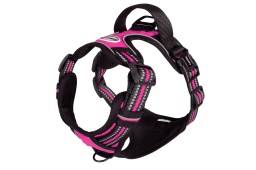 [8019808190785] CAMON ARNES TECNICA fucsia T S DC351/06